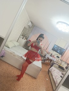 Проститутка Караганды Девушка№241383 Тигирица Фотография №3578685