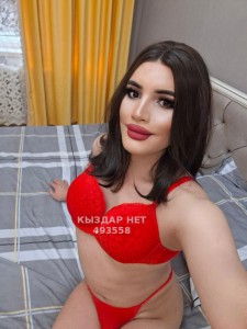 Транс Алматы Анкета №493558 Фотография №3720404
